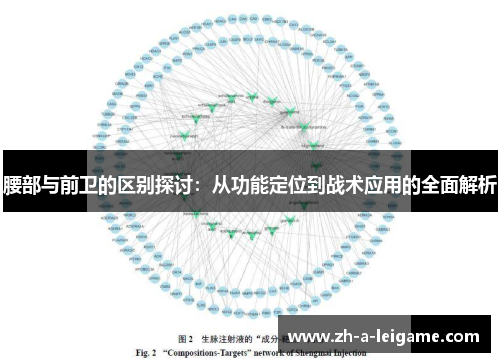 腰部与前卫的区别探讨：从功能定位到战术应用的全面解析